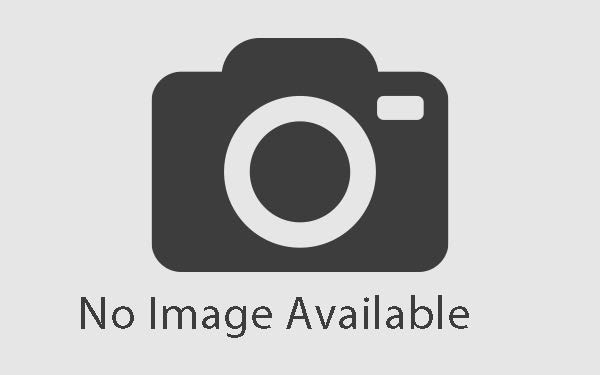 Big Tex Tandem Pipe Top Utility Trailer w/4′ Ramp Gate 16′ Length 70PI-16XBK4RG image 0